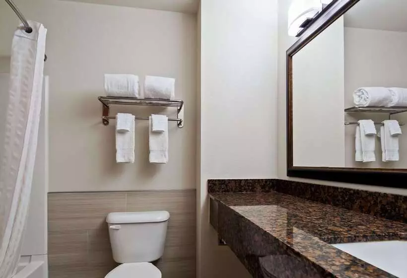 ホテル Best Western Denton Inn