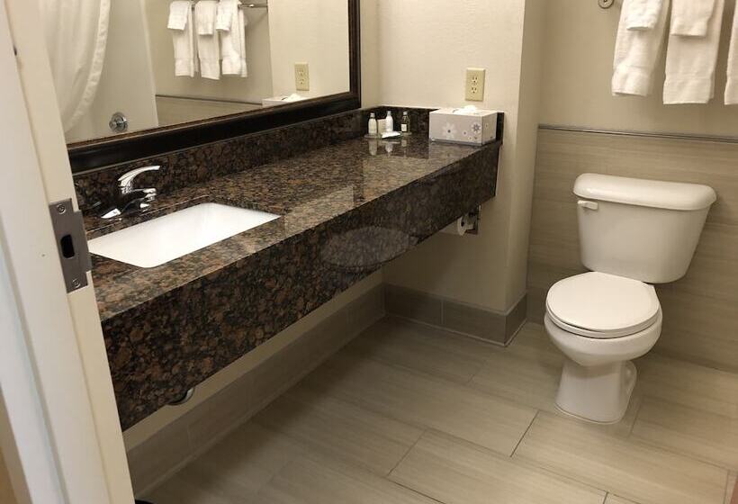 호텔 Best Western Denton Inn