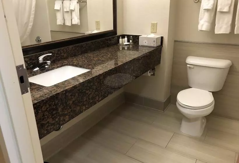 ホテル Best Western Denton Inn