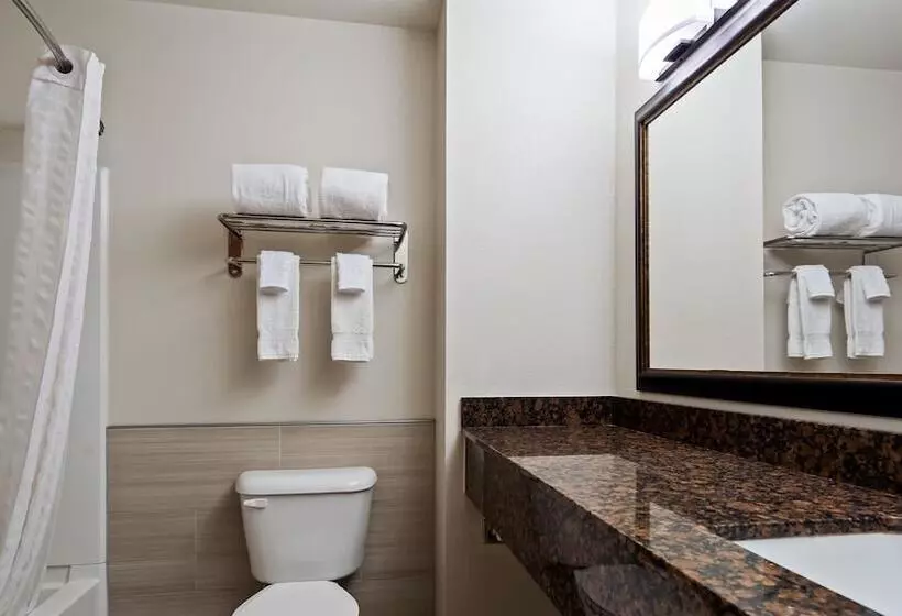 ホテル Best Western Denton Inn