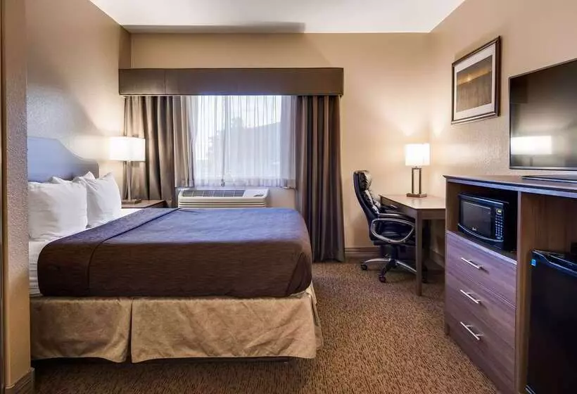 호텔 Best Western El Quartelejo Inn & Suites