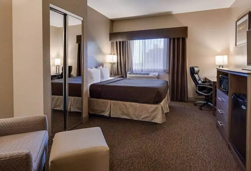 호텔 Best Western El Quartelejo Inn & Suites