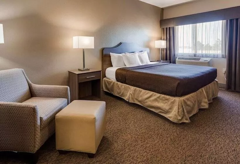 호텔 Best Western El Quartelejo Inn & Suites