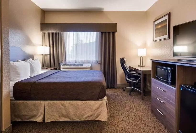 호텔 Best Western El Quartelejo Inn & Suites