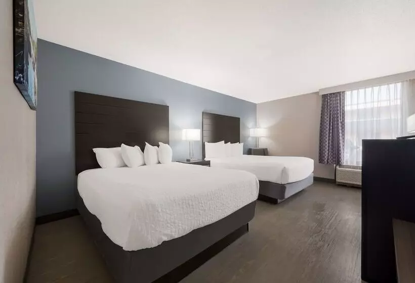 בית מלון כפרי Best Western Executive Inn