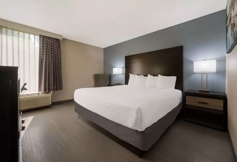 בית מלון כפרי Best Western Executive Inn