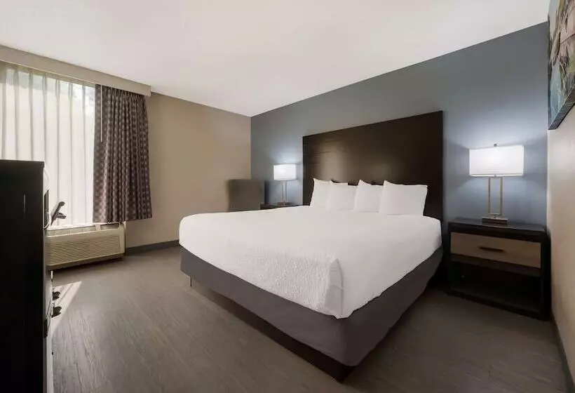 בית מלון כפרי Best Western Executive Inn