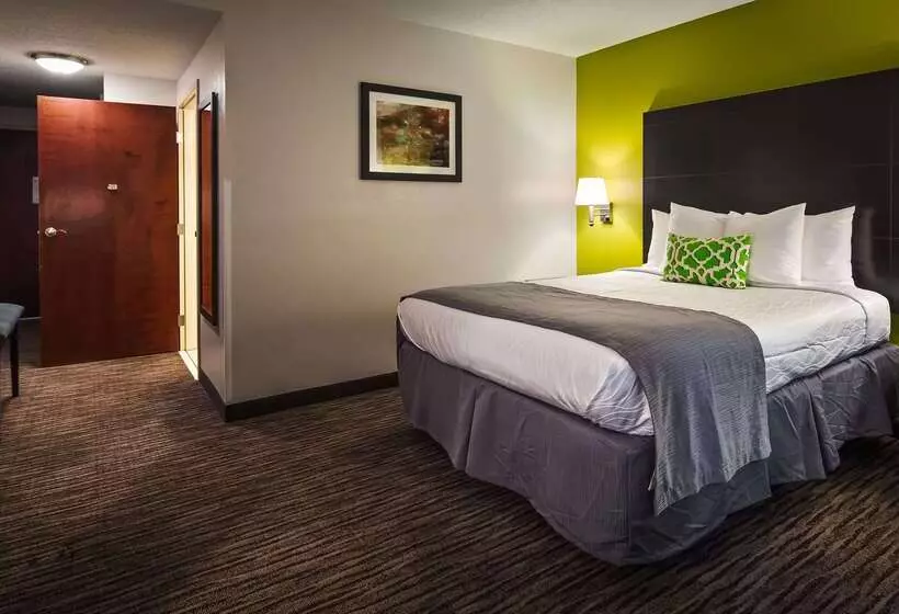 בית מלון כפרי Best Western Magnolia Inn And Suites