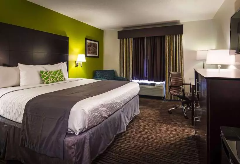 בית מלון כפרי Best Western Magnolia Inn And Suites