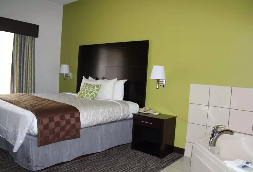 בית מלון כפרי Best Western Magnolia Inn And Suites