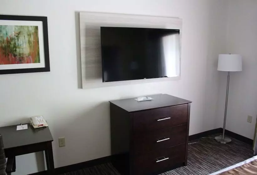 בית מלון כפרי Best Western Magnolia Inn And Suites