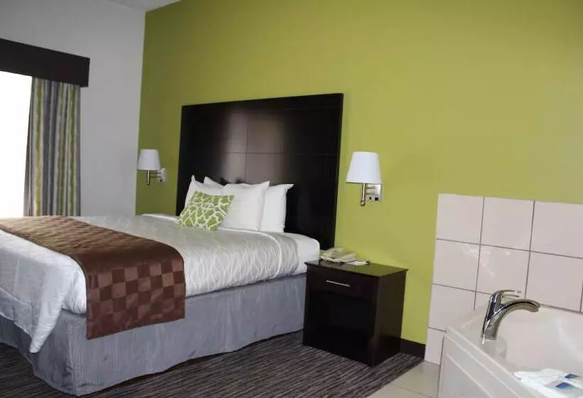 בית מלון כפרי Best Western Magnolia Inn And Suites