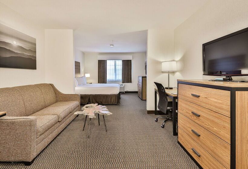 Отель Best Western Mountain View Inn