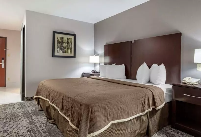 酒店 Best Western Oakdale Inn