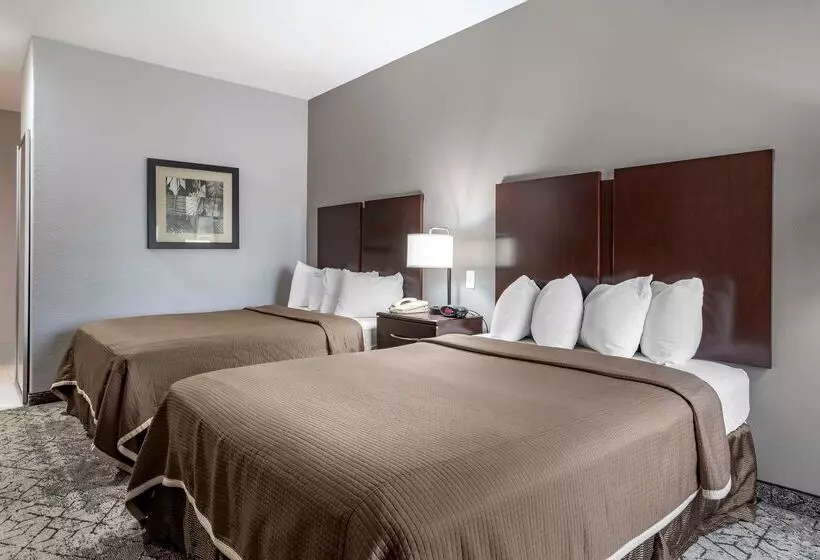 酒店 Best Western Oakdale Inn