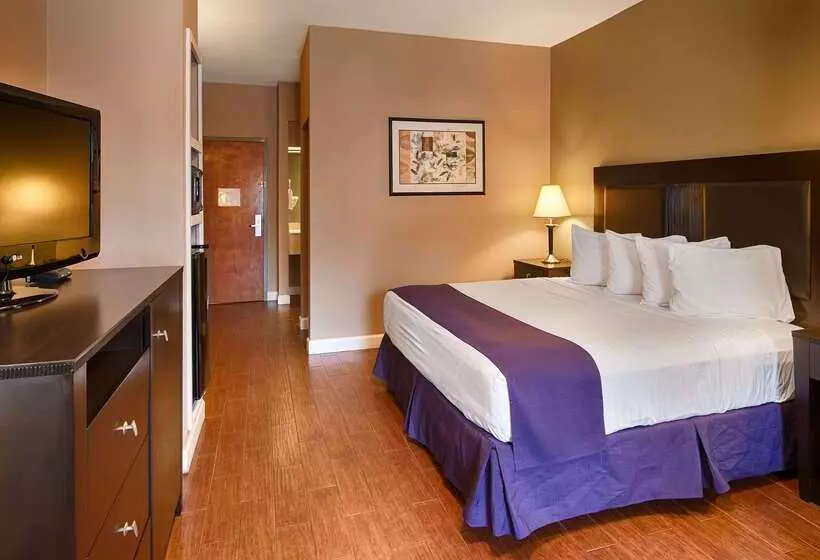 酒店 Best Western Port Lavaca Inn