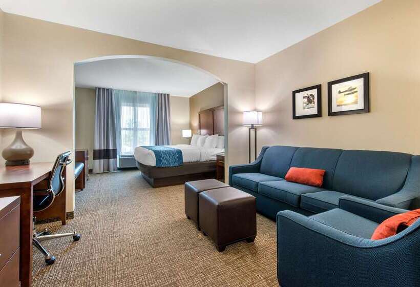 ホテル Comfort Inn & Suites Tavares North