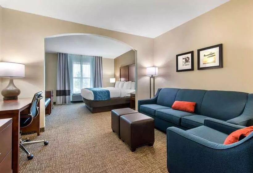 ホテル Comfort Inn & Suites Tavares North