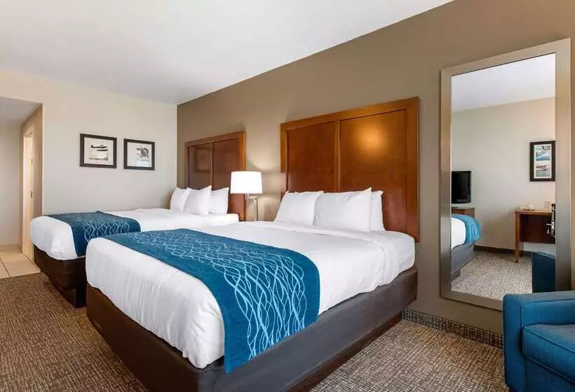 ホテル Comfort Inn & Suites Tavares North