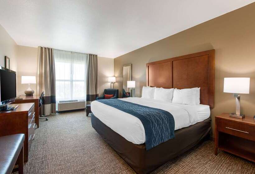 ホテル Comfort Inn & Suites Tavares North