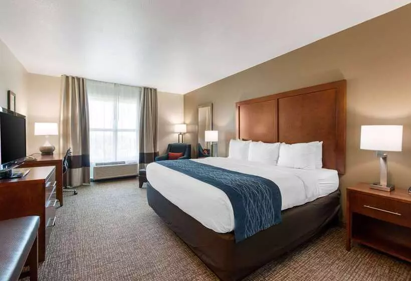 ホテル Comfort Inn & Suites Tavares North