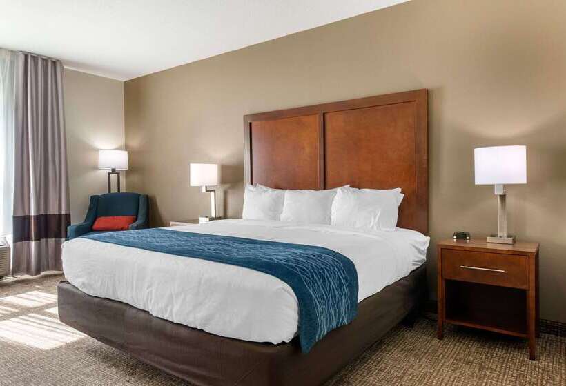 ホテル Comfort Inn & Suites Tavares North