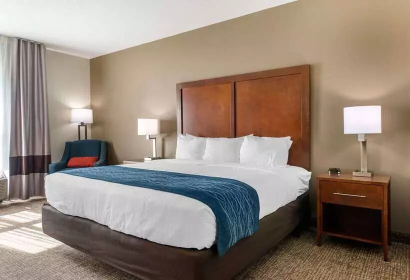 ホテル Comfort Inn & Suites Tavares North