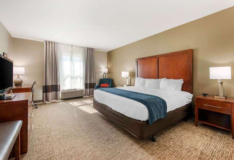 ホテル Comfort Inn & Suites Tavares North
