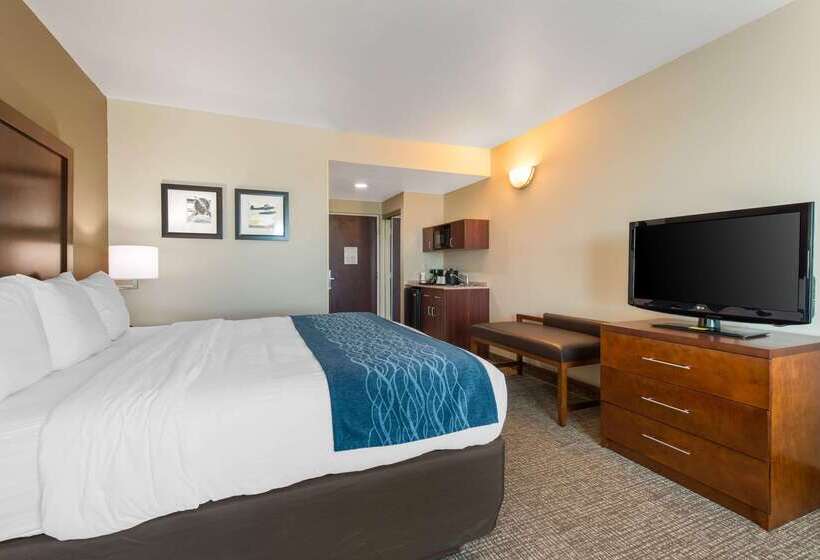 ホテル Comfort Inn & Suites Tavares North