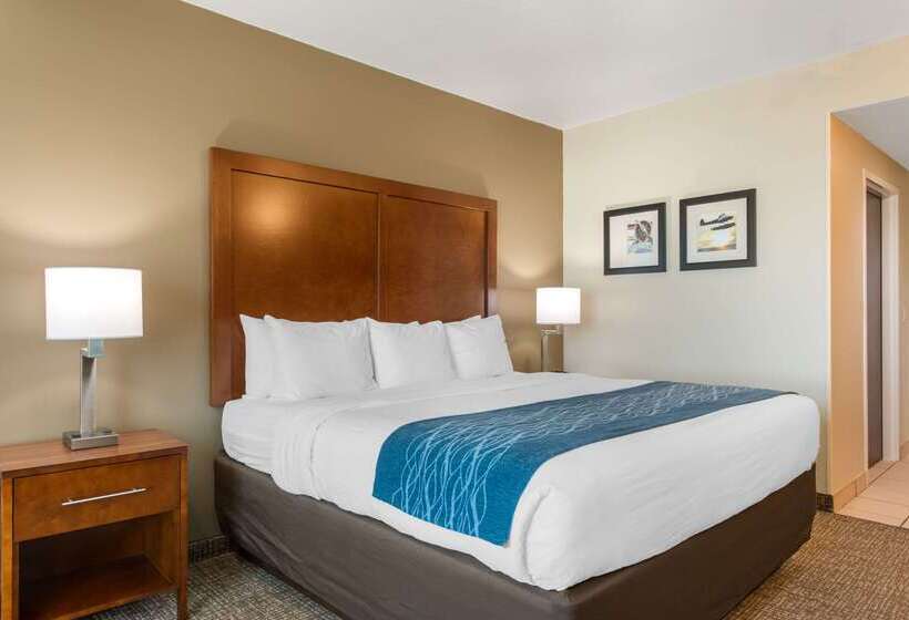 ホテル Comfort Inn & Suites Tavares North