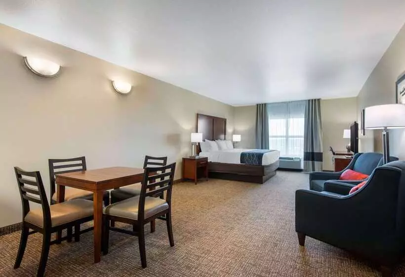 ホテル Comfort Inn & Suites Tavares North