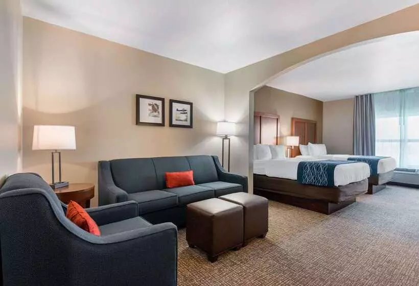 ホテル Comfort Inn & Suites Tavares North