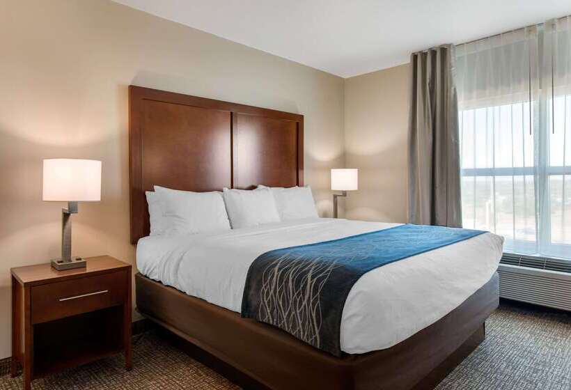 ホテル Comfort Inn & Suites Tavares North