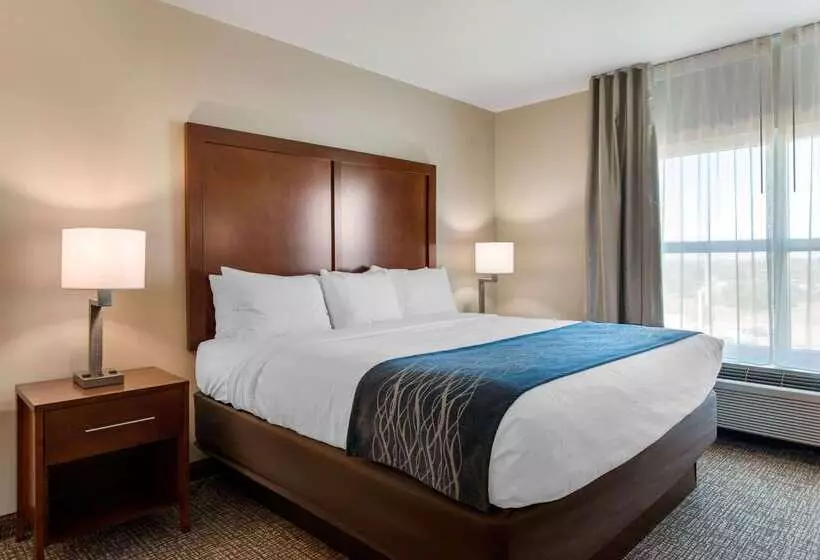 ホテル Comfort Inn & Suites Tavares North