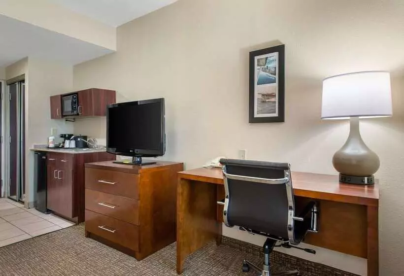 ホテル Comfort Inn & Suites Tavares North