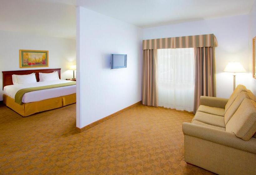 Holiday Inn Express Hotel & Suites Elkins By Ihg