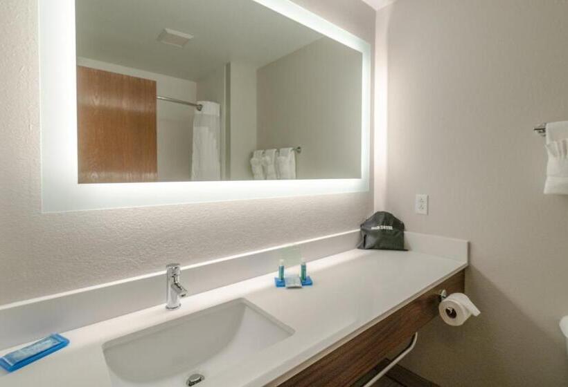 Holiday Inn Express Hotel & Suites Elkins By Ihg