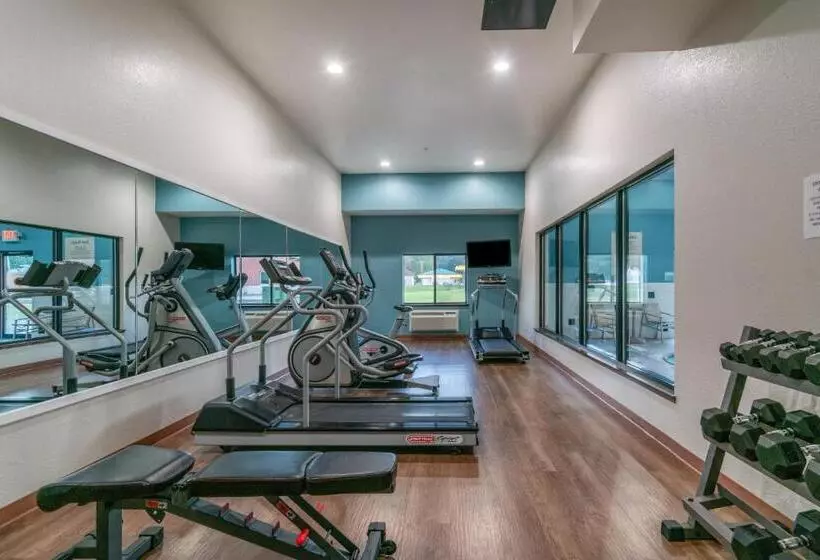 Holiday Inn Express Hotel & Suites Elkins By Ihg