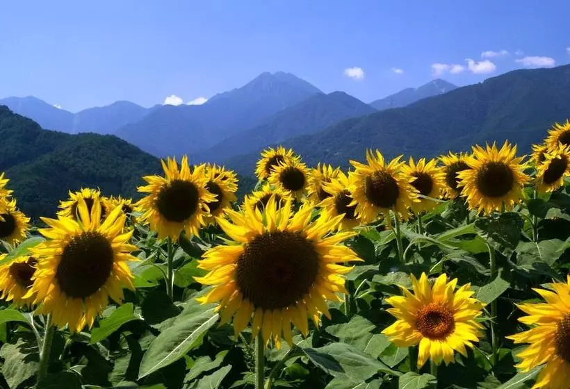 Отель Izumigo Ambient Azumino