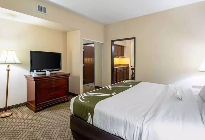 Отель Quality Inn & Suites