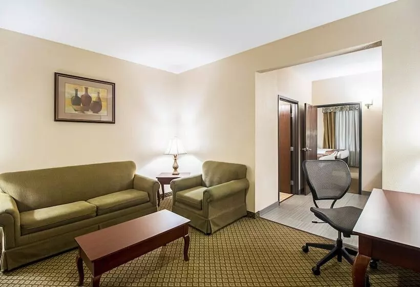Отель Quality Inn & Suites