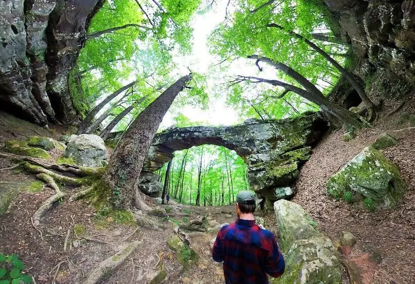 호텔 The Smoke House Lodge