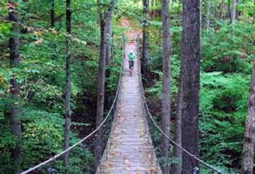 Отель The Smoke House Lodge