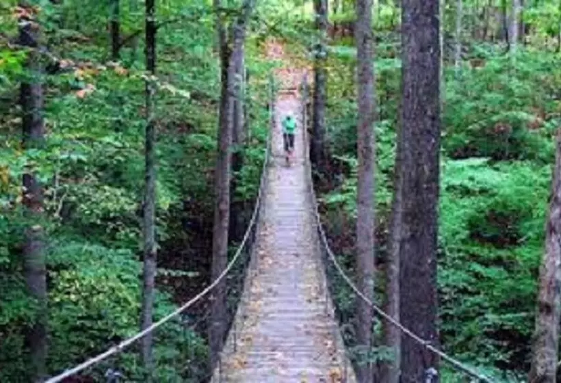 호텔 The Smoke House Lodge