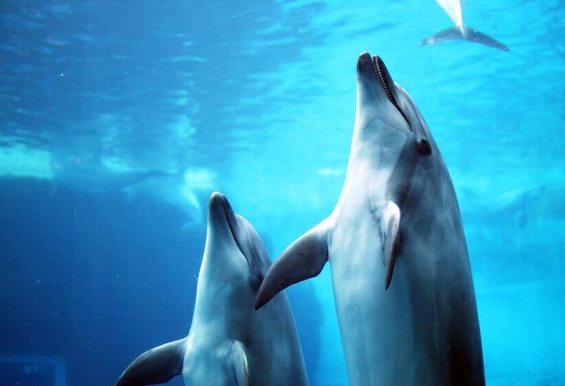 בית מלון כפרי Nature Nagoya Sakae