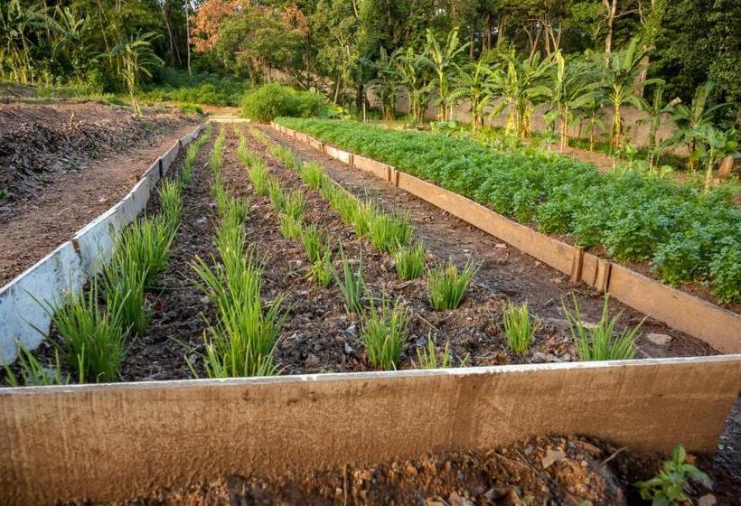 هتل Pousada Dos Pireneus