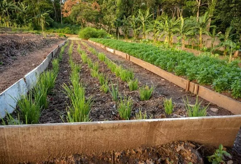 Hotel Pousada Dos Pireneus