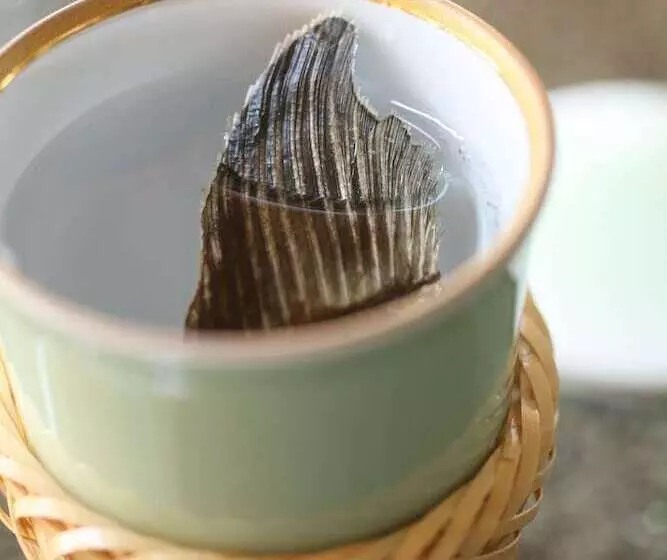 فندق Tabinoyado Ushionoakari Geiboso