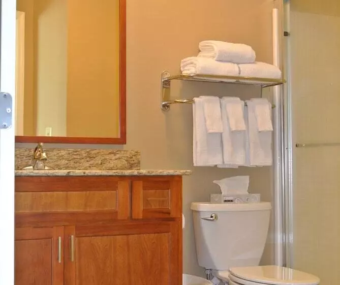 هتل Towneplace Suites By Marriott Birmingham South