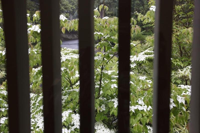 Отель Yunokaze Hazu